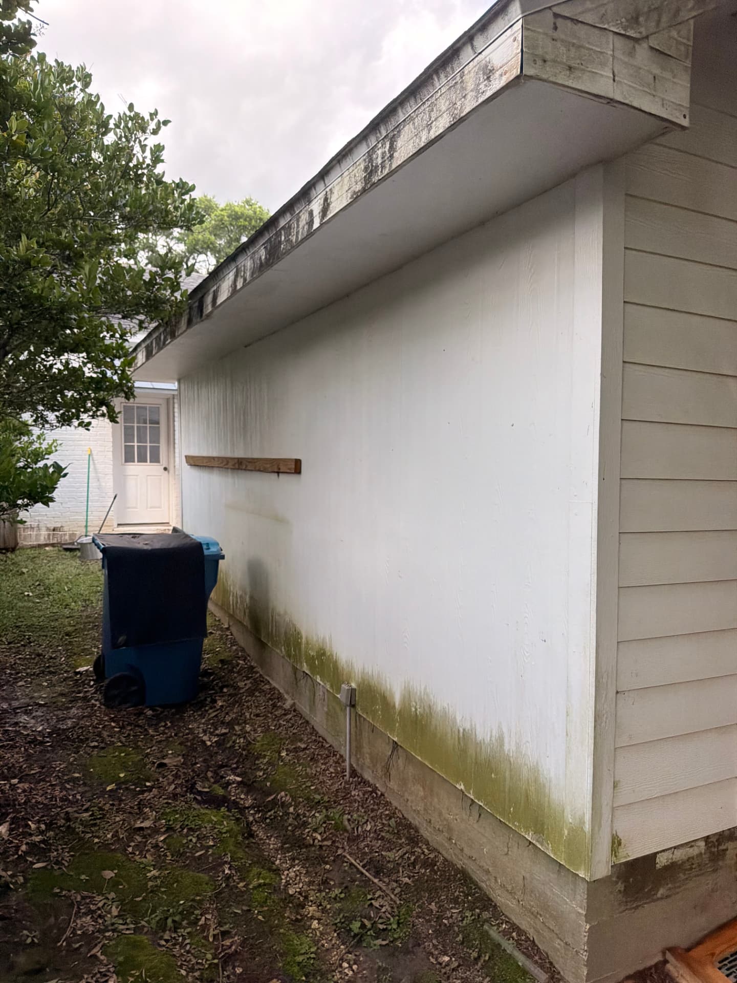 Moss and green staining along the base of a garage wall before washing