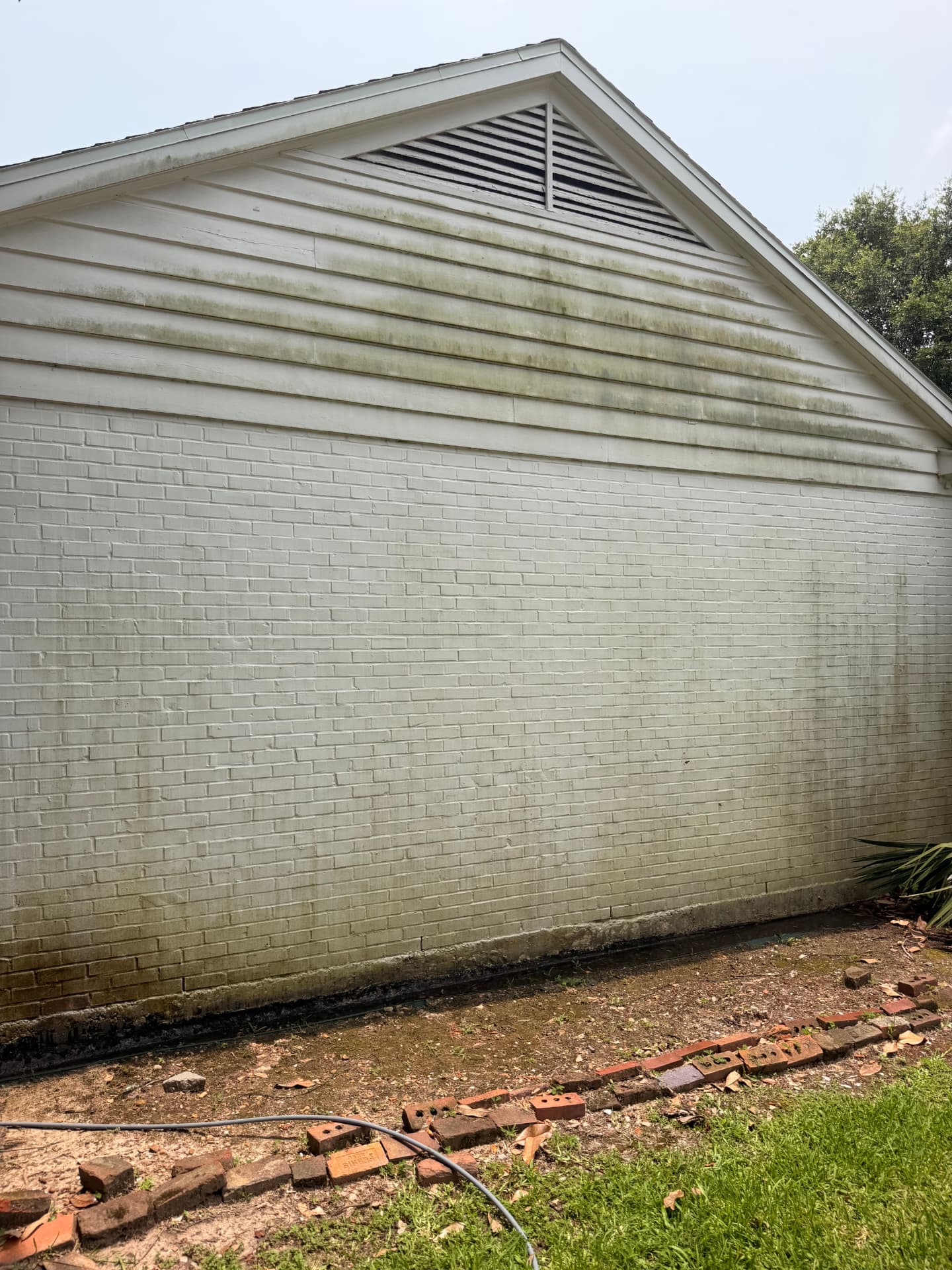 Green algae growth across painted brick and siding gable before cleaning