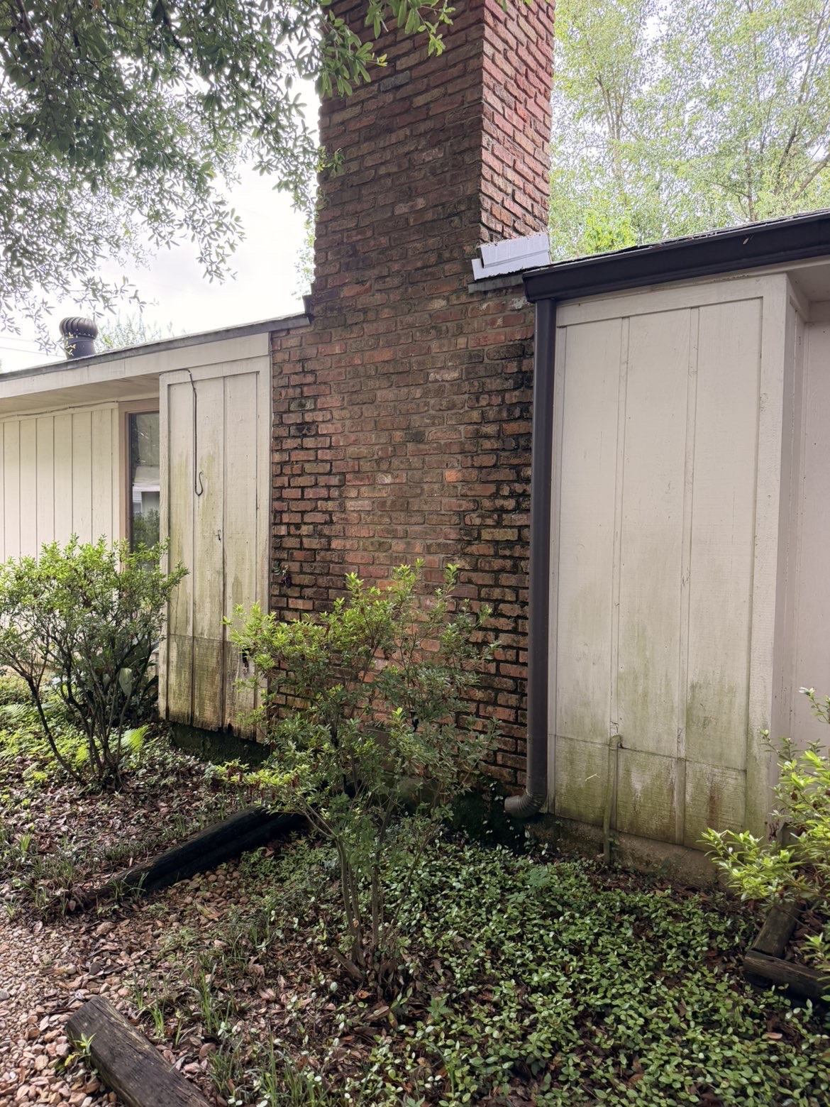Algae-stained siding and brick chimney before soft washing