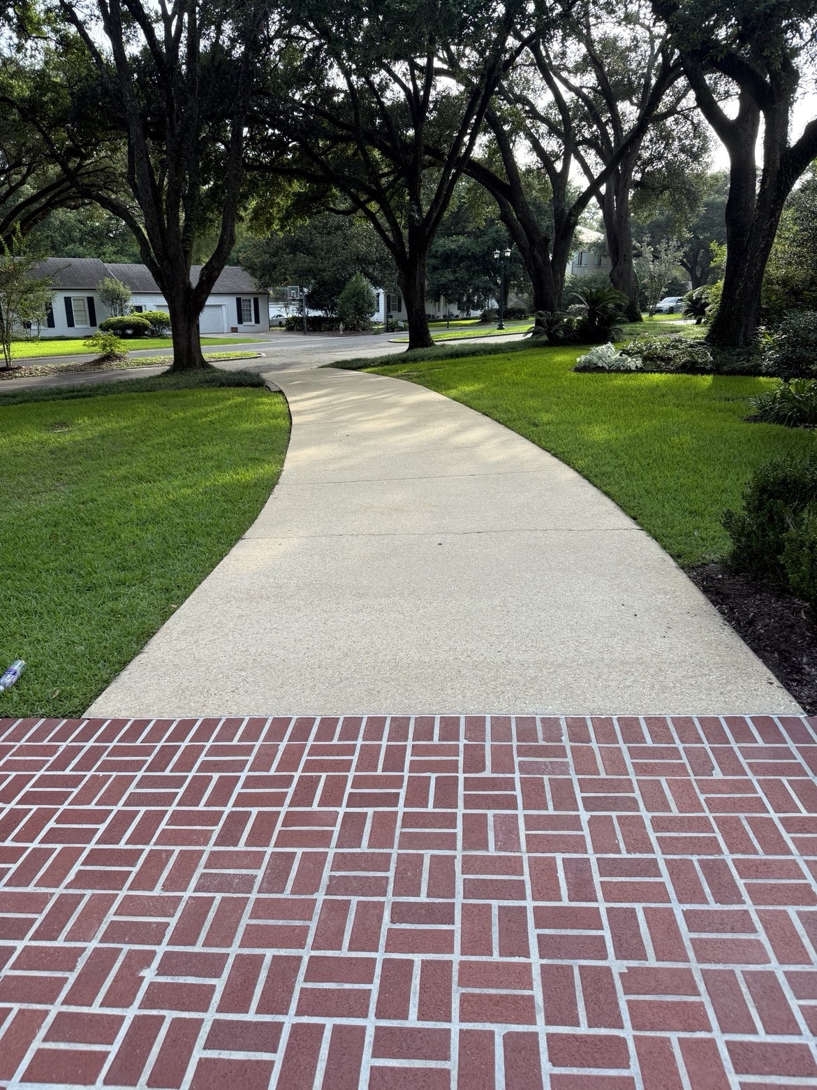 Same concrete sidewalk clean and light after pressure washing