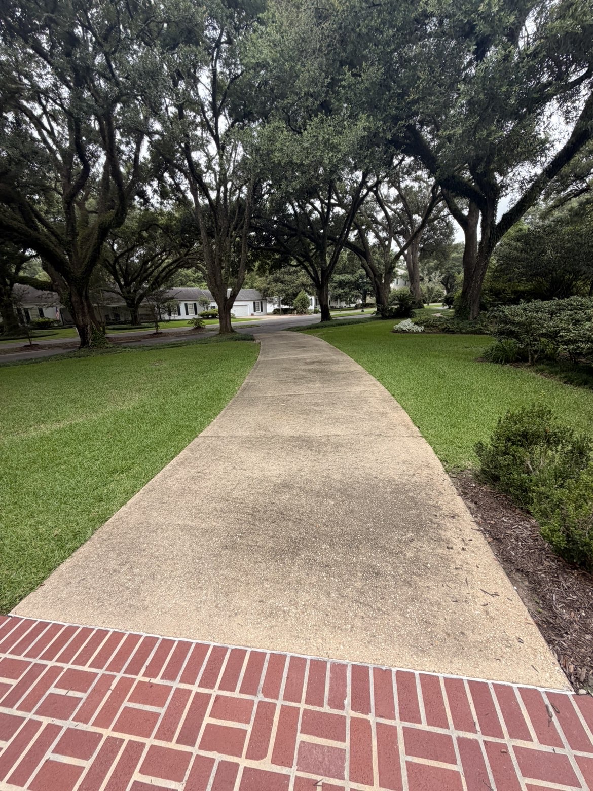 Gray, stained concrete sidewalk before pressure washing